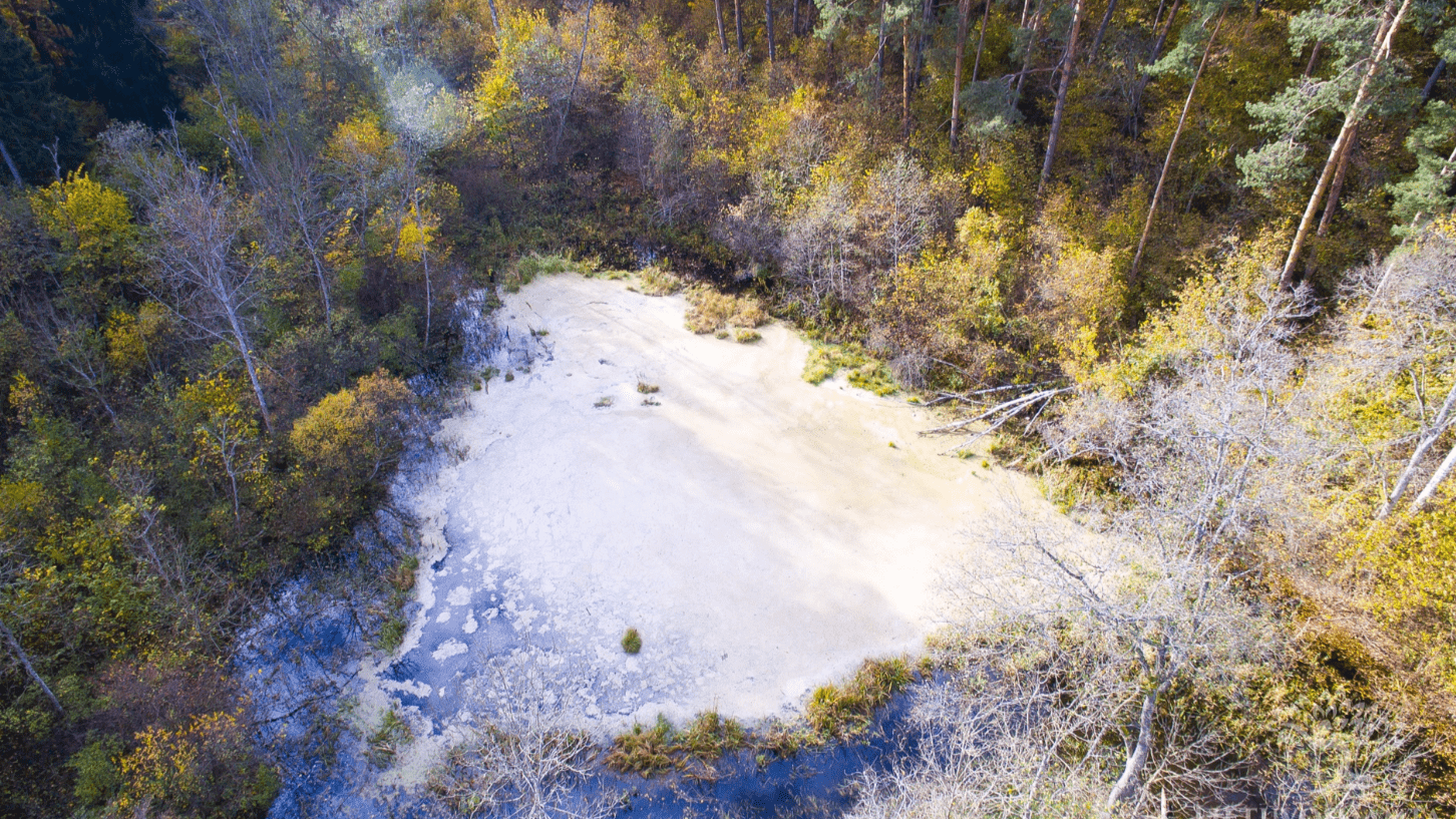 Exploring the Salt Springs and Historical Houses in Vievis